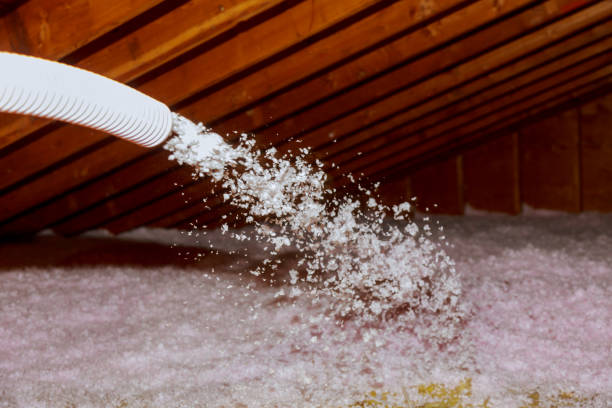 Best Insulation Maintenance and Repair in Corunna, MI